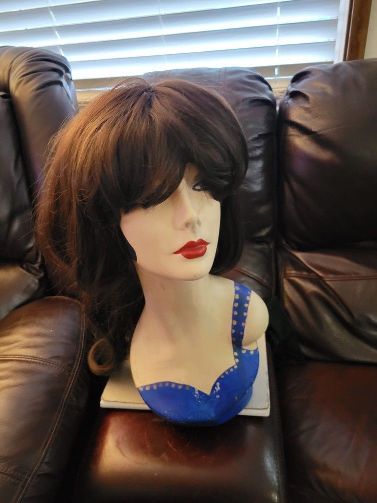 Mannequin Head Male With Wig for Sale in Vancouver, WA - OfferUp