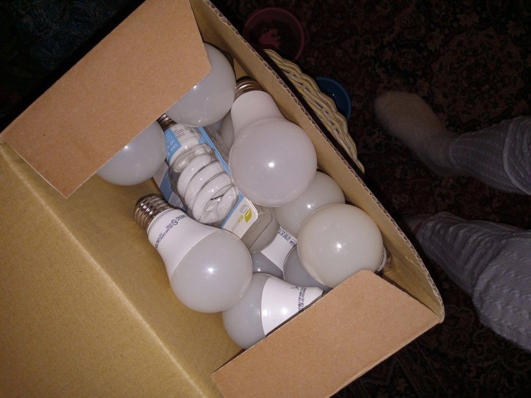 16 Led 5000k Light Bulbs 