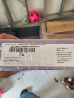 Hard wood / Laminate flooring