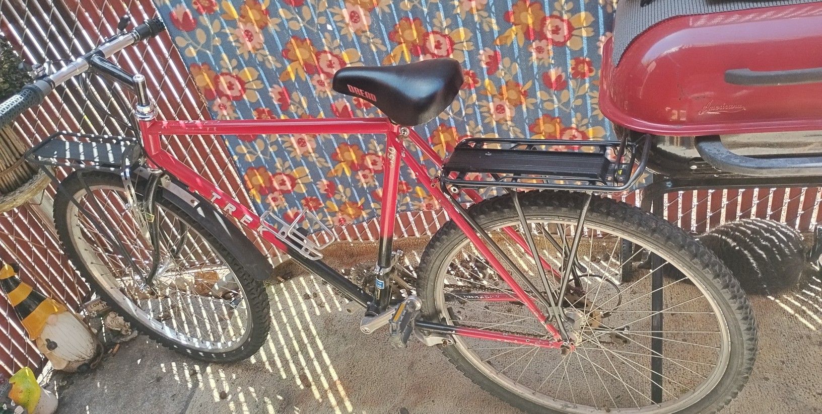 Used Trek Bike