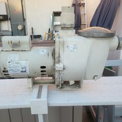 Pool Pump