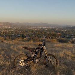 2025 Surron lbx (NO TUTTIOS!)