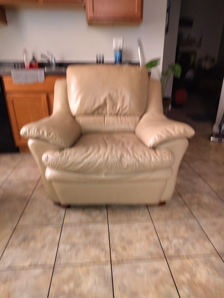 2 Leather Arm Chairs/Recliner