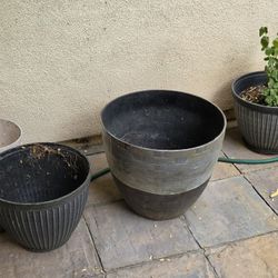 Planters