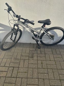 (NEVER RIDDEN)Nishiki Mountain Bike Silver