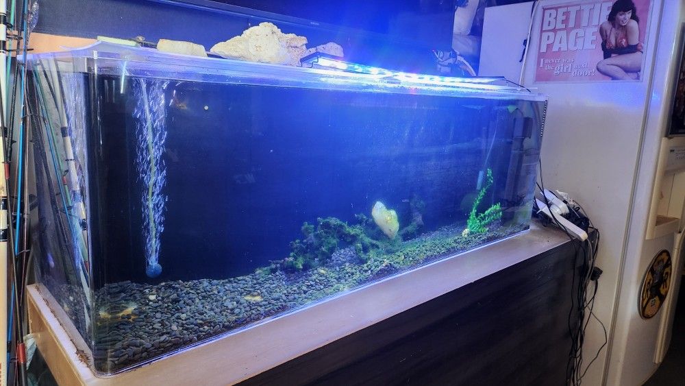 Acrylic Large Fish Tank