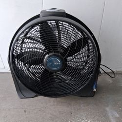 Fan 