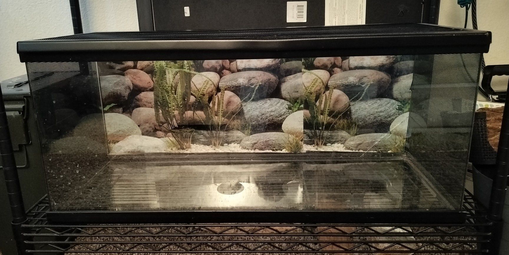 20 GALLON LING TANK *READ*