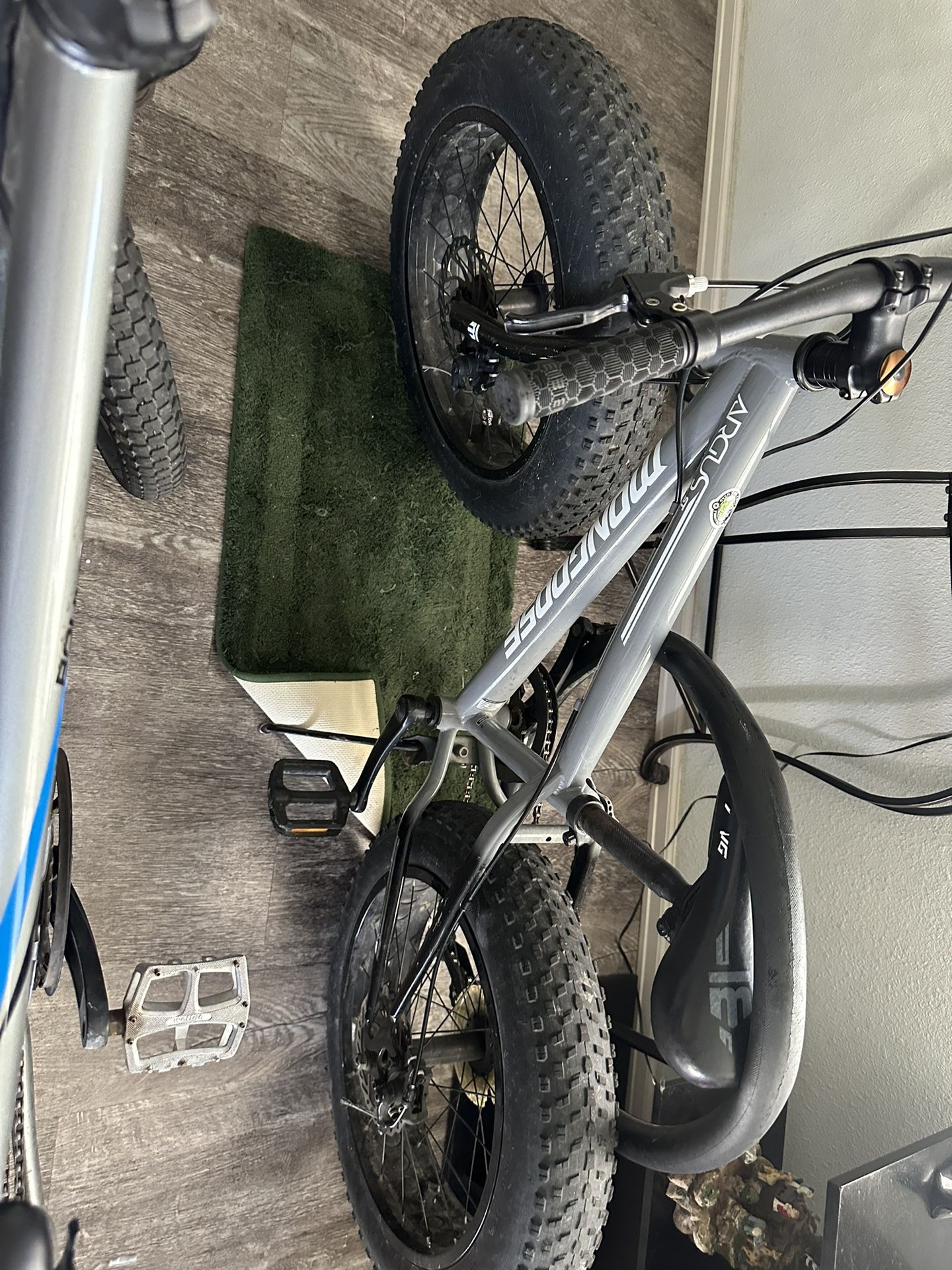 Two Fat Tire Bikes