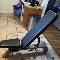 Commercial Precor Icarian Dumbbell Bench 