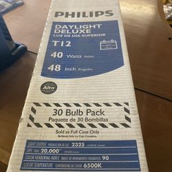 Light bulbs 