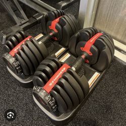 Bow flex Adjustable Weights 52.5 Lbs 