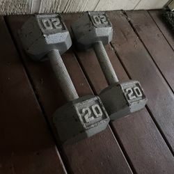 20 Lb Weights - All Metal 