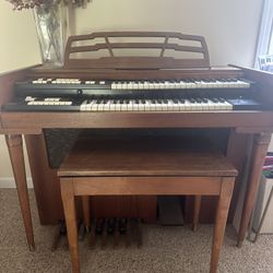 Organ 