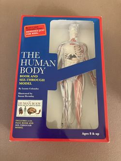 Human Body Book & See-Through Model – Educational Science Kit