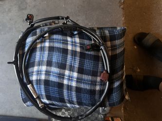 Electrical Harness