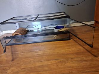 2Ft X 1Ft. Terrarium (20 gallon)