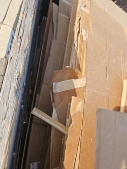 Cardboard