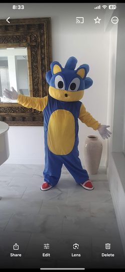 Sonic Costume For Sale