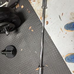 Olympic Curl Bar