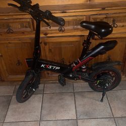 Electric Bike 