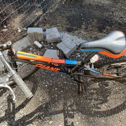 Youth Giant Bikes