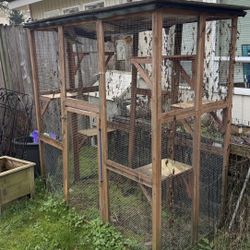                                      FREE  CATIO 