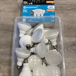 20+ 65 WATT LED SOFT WHITE LIGHT BULBS ECOSMART