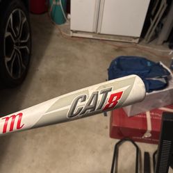 Baseball bat for young kids