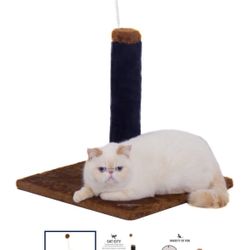 Cat Scratching Post