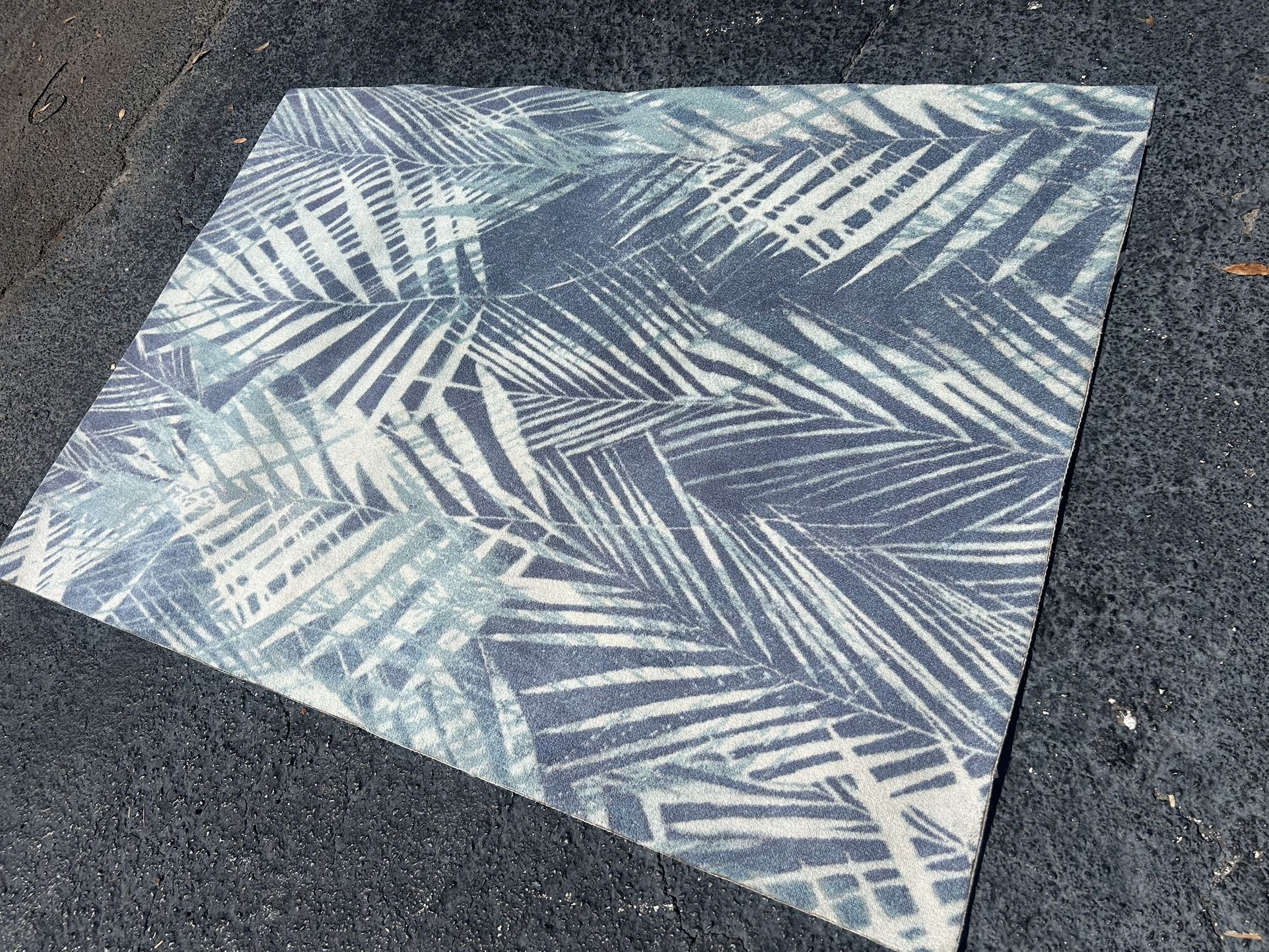 Indoor/ Outdoor Rug