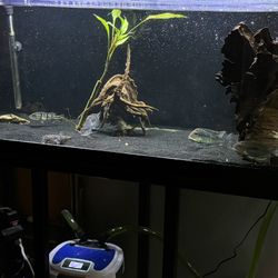 75 Gallon Fish Tank 