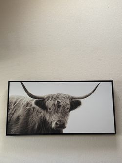 Highland Cow Canvas Wall Art