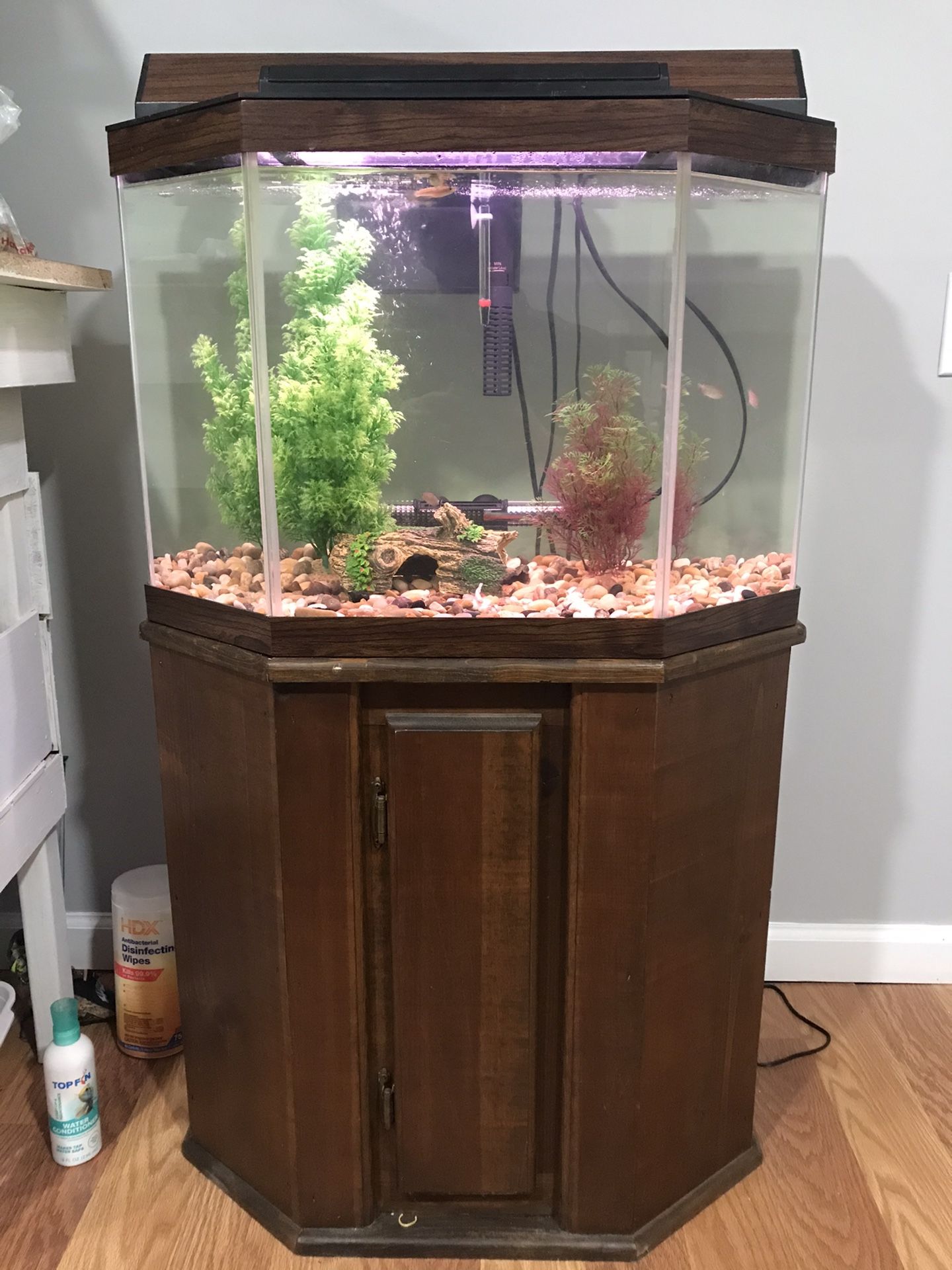 Fish Tank