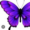 Butterfly Purple