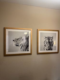 Framed Lion and Tiger Art Prints – Set of 2