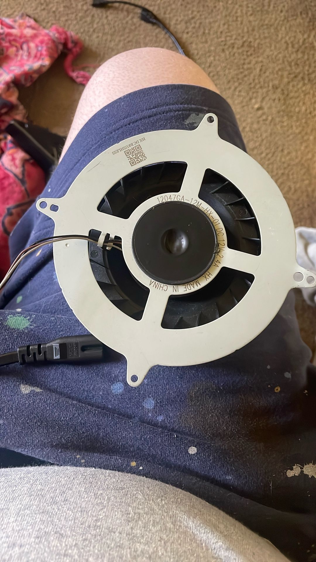PlayStation 5 Fan