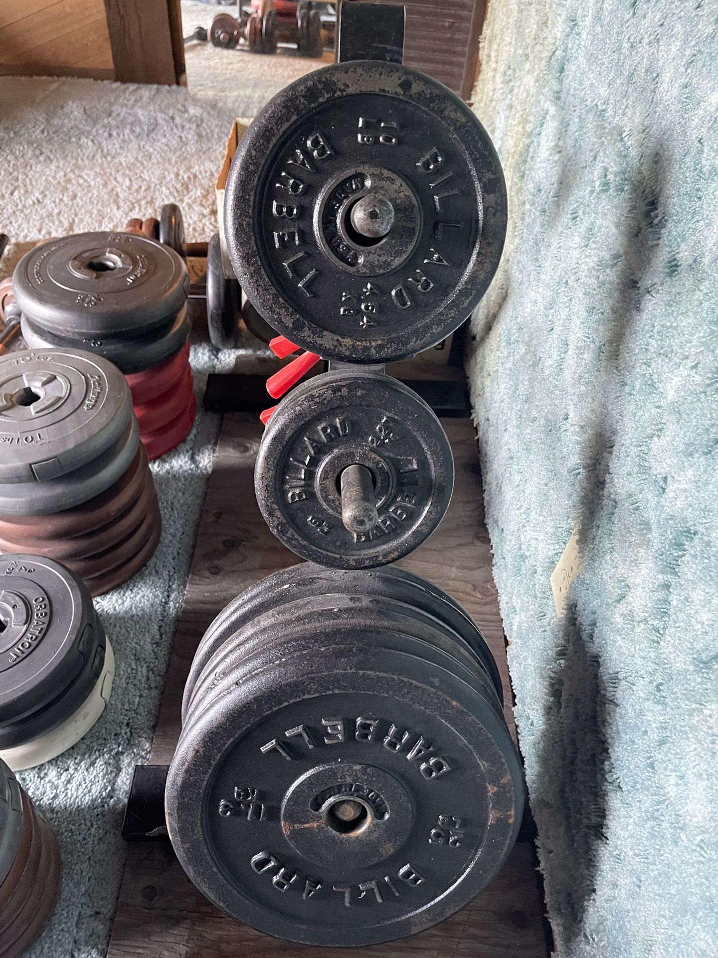 Free Weights & Benches
