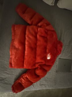 Supreme X North face