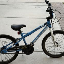 20” Schwinn Koen