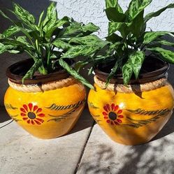 🪴💥Clay Pot $35 Each Or Two For $60 💥🪴Talavera & Clay Pottery12031  Firestone Blvd Norwalk CA Open Every Day From 9am To 7pm 