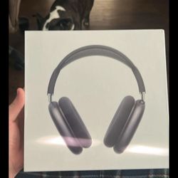 Airpod Max