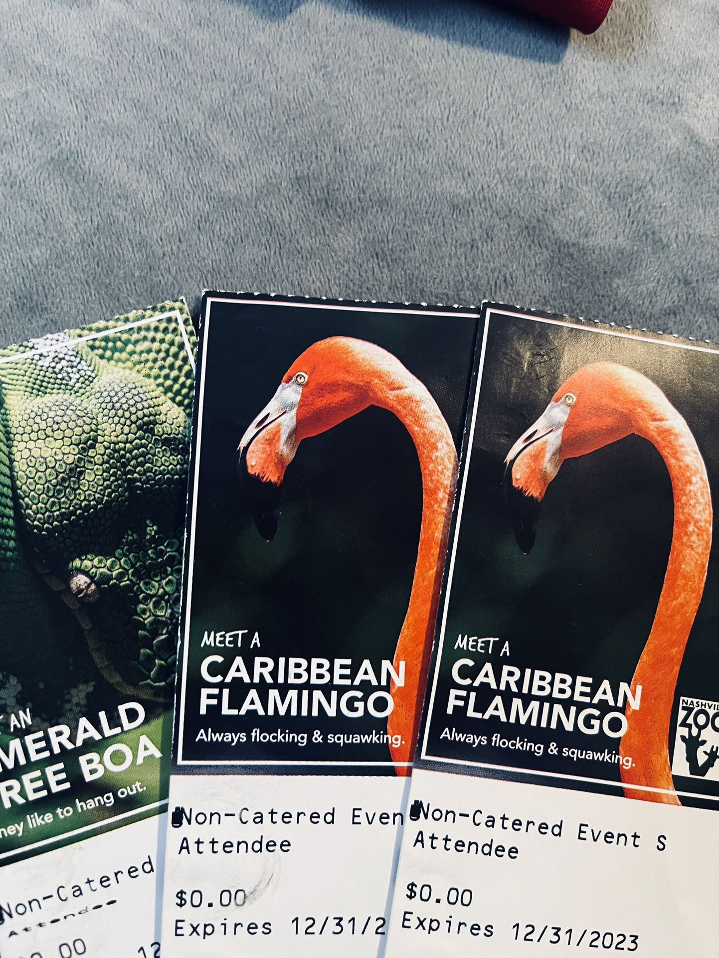 3 Zoo Tickets 