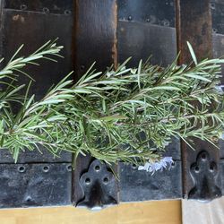 Fresh Rosemary Sprigs