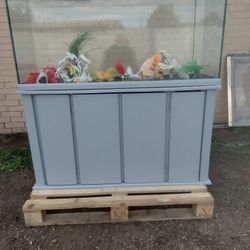 Fish Tank 