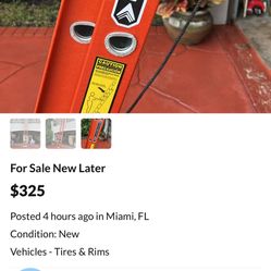 For Sale 28 Feet Ladder