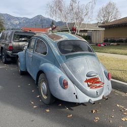 Bug