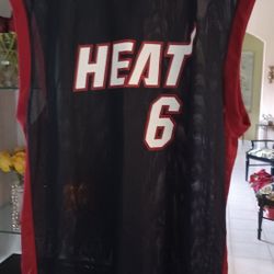 Lebron James #6 Miami Heat