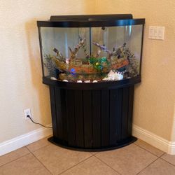 Fish Tank 