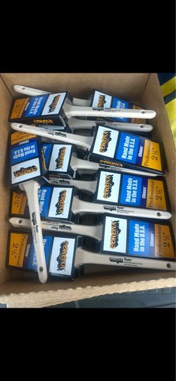Corona Paint brushes Ryan